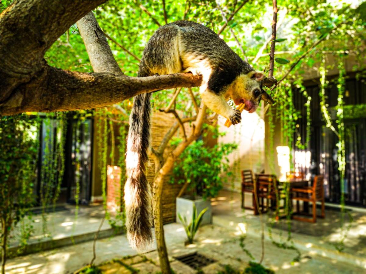 Isi Arana Eco Villa Anuradhapura Εξωτερικό φωτογραφία